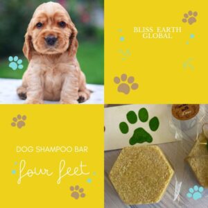 Pet Shampoo Bar